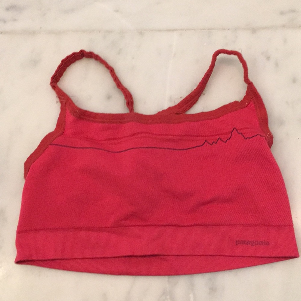 Patagonia sports bra
